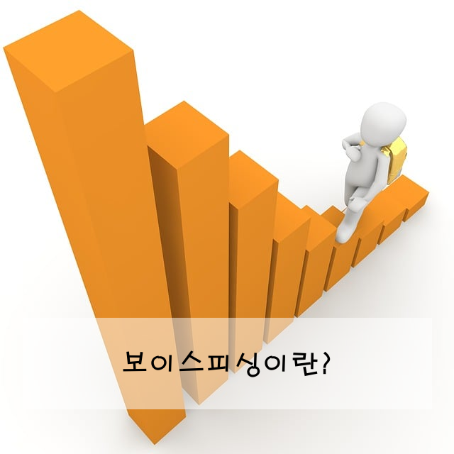 보이스피싱이란?