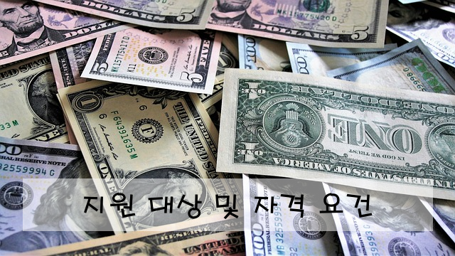 지원 대상 및 자격 요건