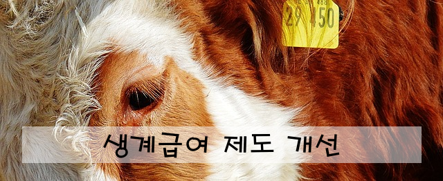 생계급여 제도 개선